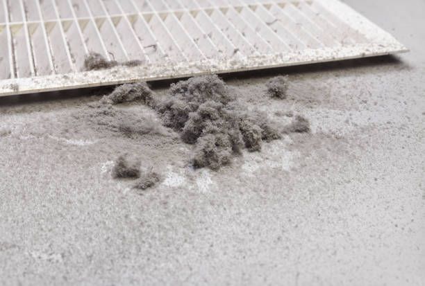 Best Emergency Air Duct Cleaning  in Corona De Tucson, AZ